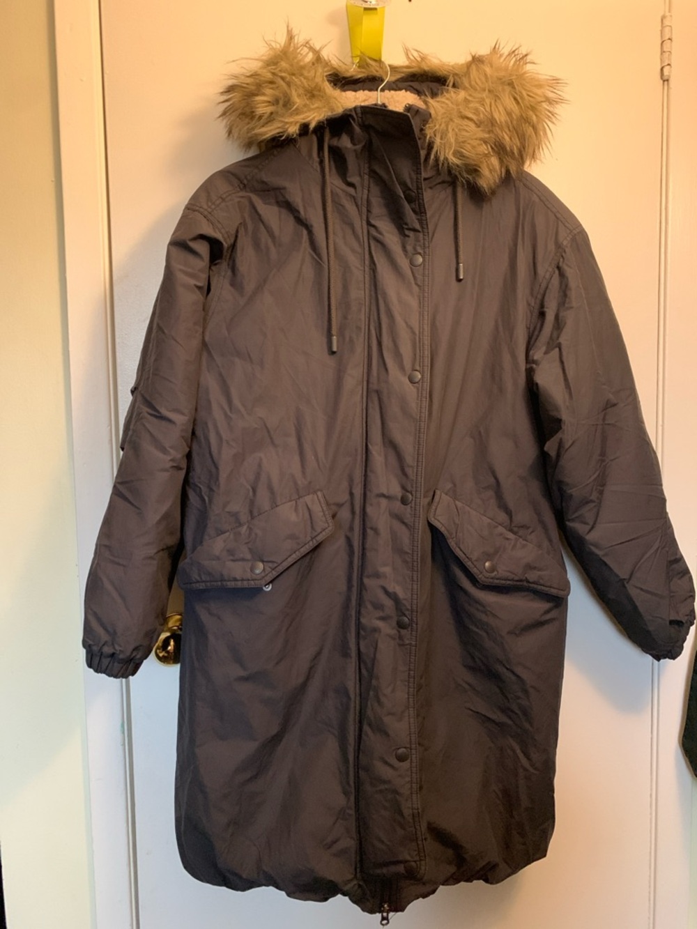 American Eagle Outfitters Parka with Faux Fur Hood